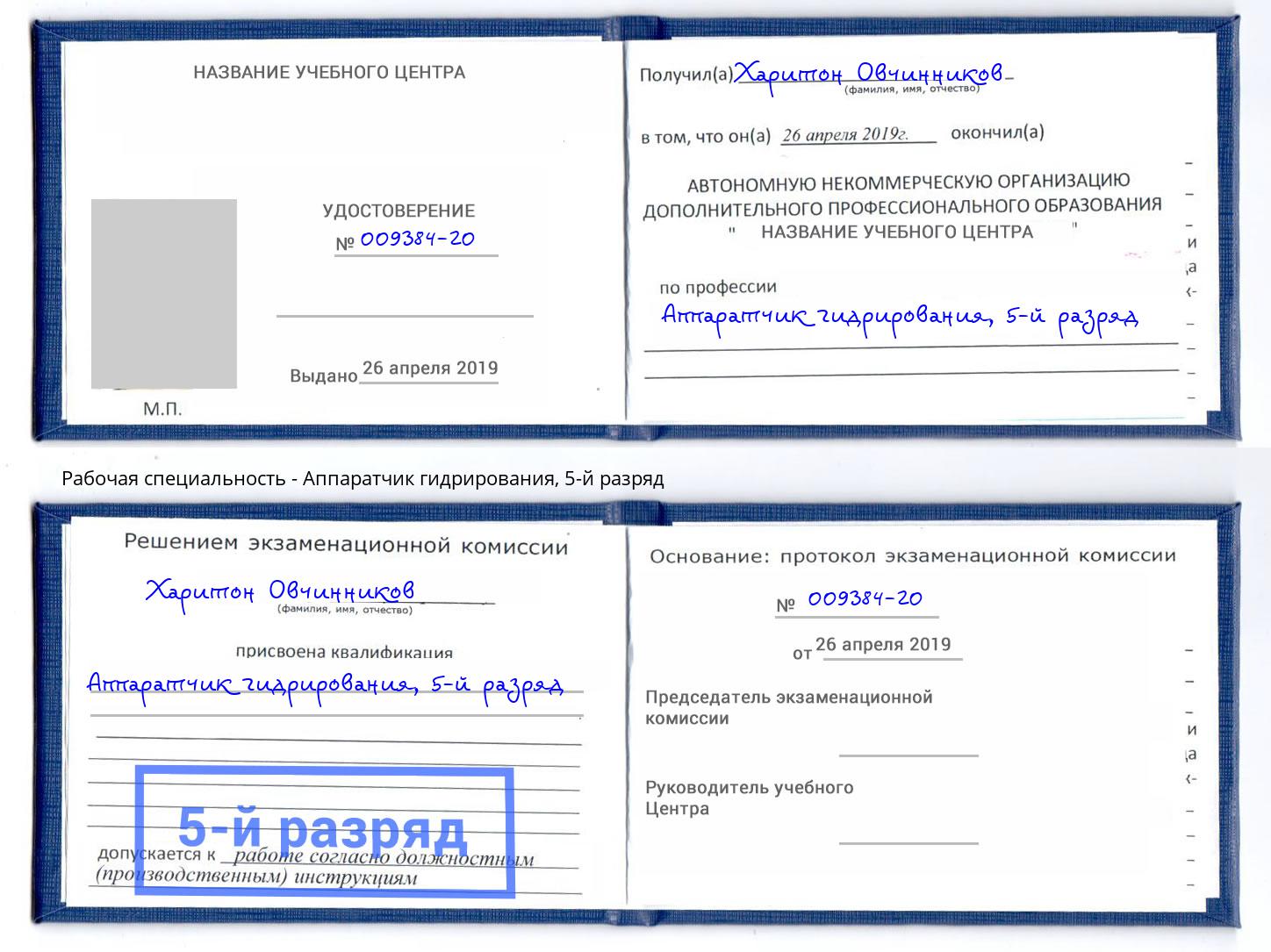 корочка 5-й разряд Аппаратчик гидрирования Нягань
